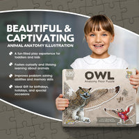 Genius Games shark anatomy floor puzzle showing a great white shark and its anatomy - view 12