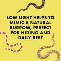 Zilla Rock Lair Naturalistic Hide for Snakes and Lizards - Small - image 4