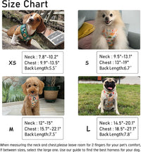 Dog Harness and Leash Set, Adjustable Dog Harness, Dog Leash - Peach / L(Chest 18.5 - 27.1", Neck 14.5 - 20.1") - image 2