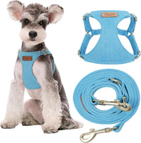 Puppytie Small Dog Harness and Leash Set, Pink, S – Essentials for Dogs - Ocean Blue / S(9-17.5lb）