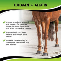 SynoStride All Natural, All-in-one, Joint and Hoof Health Supplement for Horses, Powder with Glucosamine, Chondroitin, Hyaluronic Acid, Biotin, Methionine, Trace Minerals, Made in USA (1080 Grams)