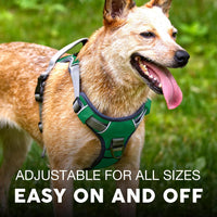 Embark No Pull Dog Harness, Reflective Adjustable Training Vest - S / Green - image 4