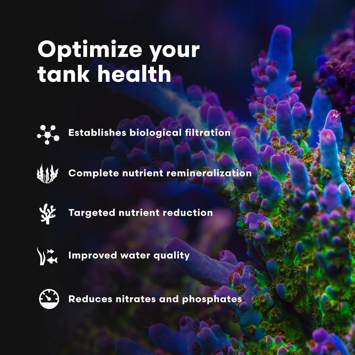 Brightwell Aquatics MicroBacter7 bioculture for marine and freshwater aquariums - view 4