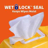 Wet Ones for Pets Antibacterial Dog Wipes - Tropical Splash / 100 Count (Pack of 3) - image 4