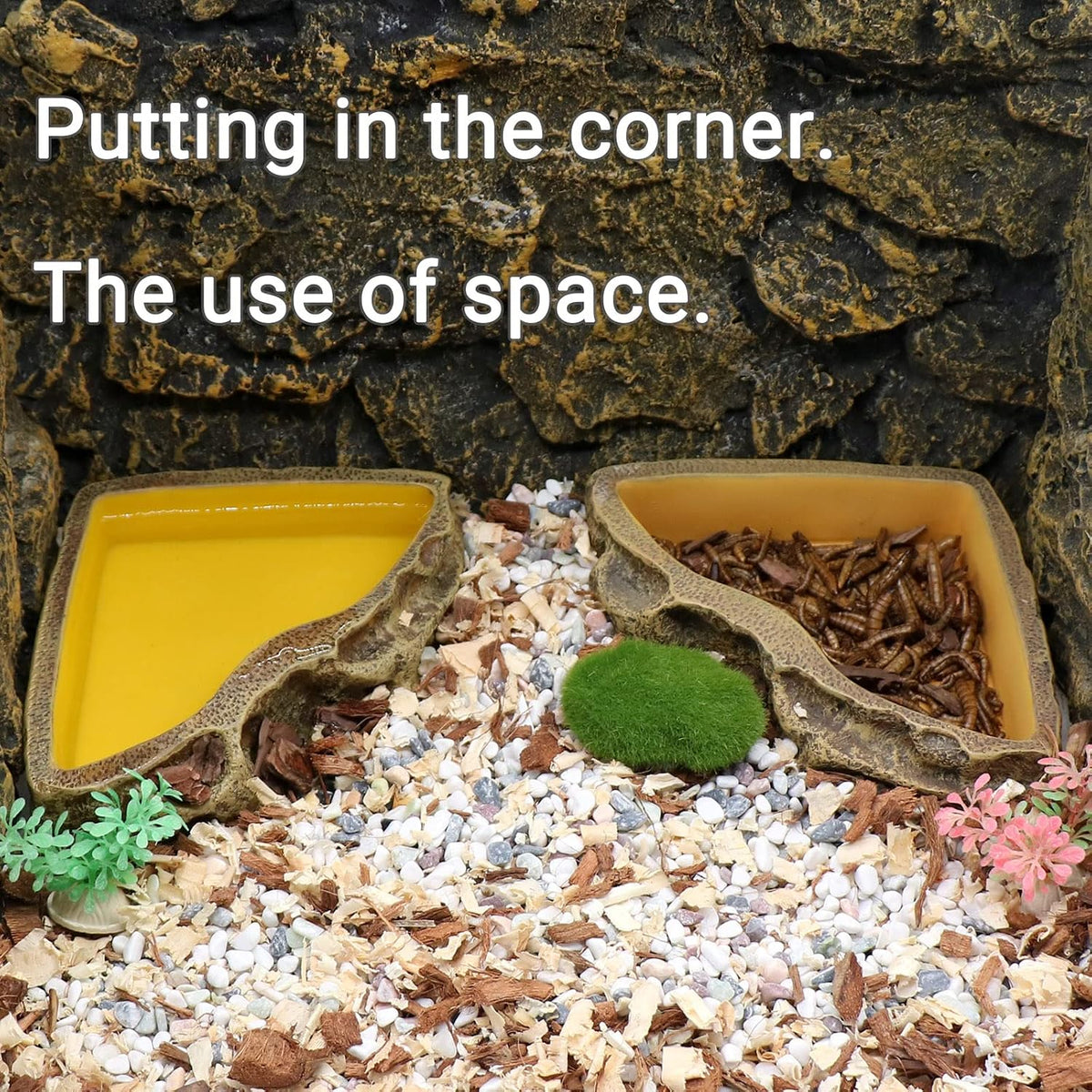 Reptile Feeder Resin Bowl Amphibian Reptile Bowl for Lizard Gecko - image 3