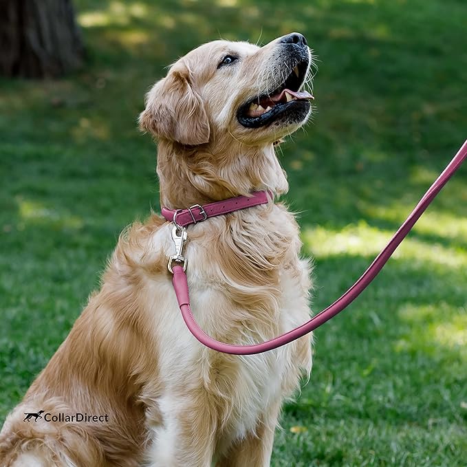 CollarDirect Rolled Leather Dog Collar, Soft Padded Round Puppy Collar, Handmade Genuine Leather Collar Dog Small Large Cat Collars 13 Colors (15-19 Inch, Pink Textured)
