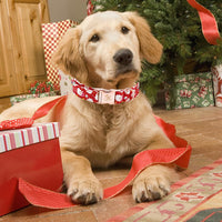 Elegant little tail Fall Dog Collar - Santa Claus / X-Small (Pack of 1) - image 4