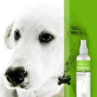 VetOne – Essentials for Dogs - image 3