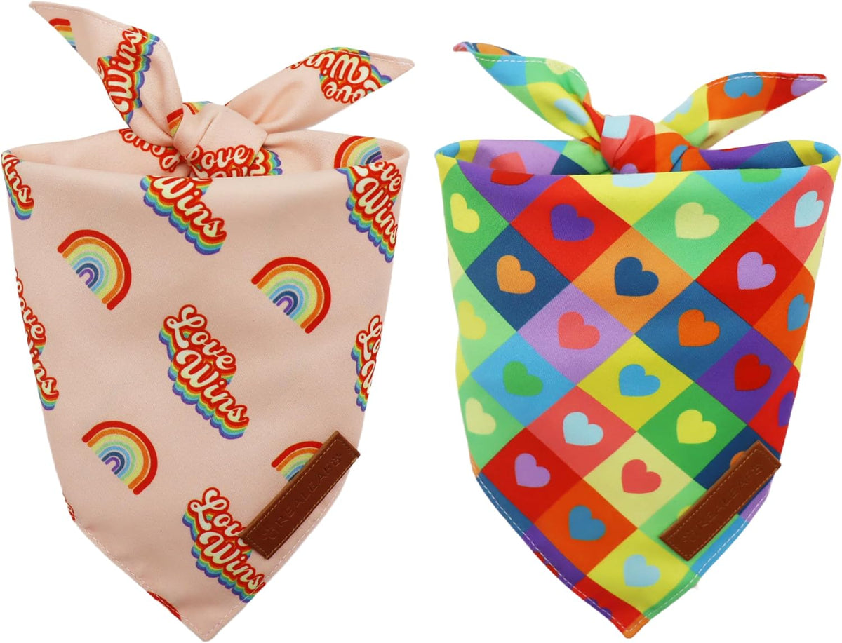 Halloween Dog Bandanas 2 Pack - Pride / Large