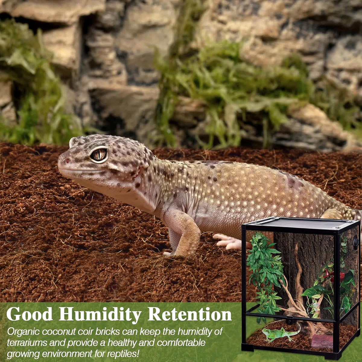 2 Pack Coconut Fiber Substrate - 1pcs - image 3