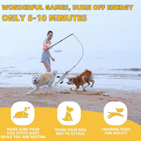 Flirt Pole Dogs, Dog Chase Toy with Squeakers Inside - Ball+Beaver - image 2