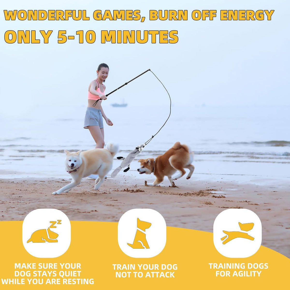 Flirt Pole Dogs, Dog Chase Toy with Squeakers Inside - Ball+Beaver - image 2