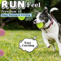 Magicorange Tennis Balls for Dogs - Multicolor / 4 Pack - image 4