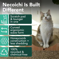 Necoichi Cardboard Cat Scratcher Bed for Indoor Cats - Regular / Oak - image 2