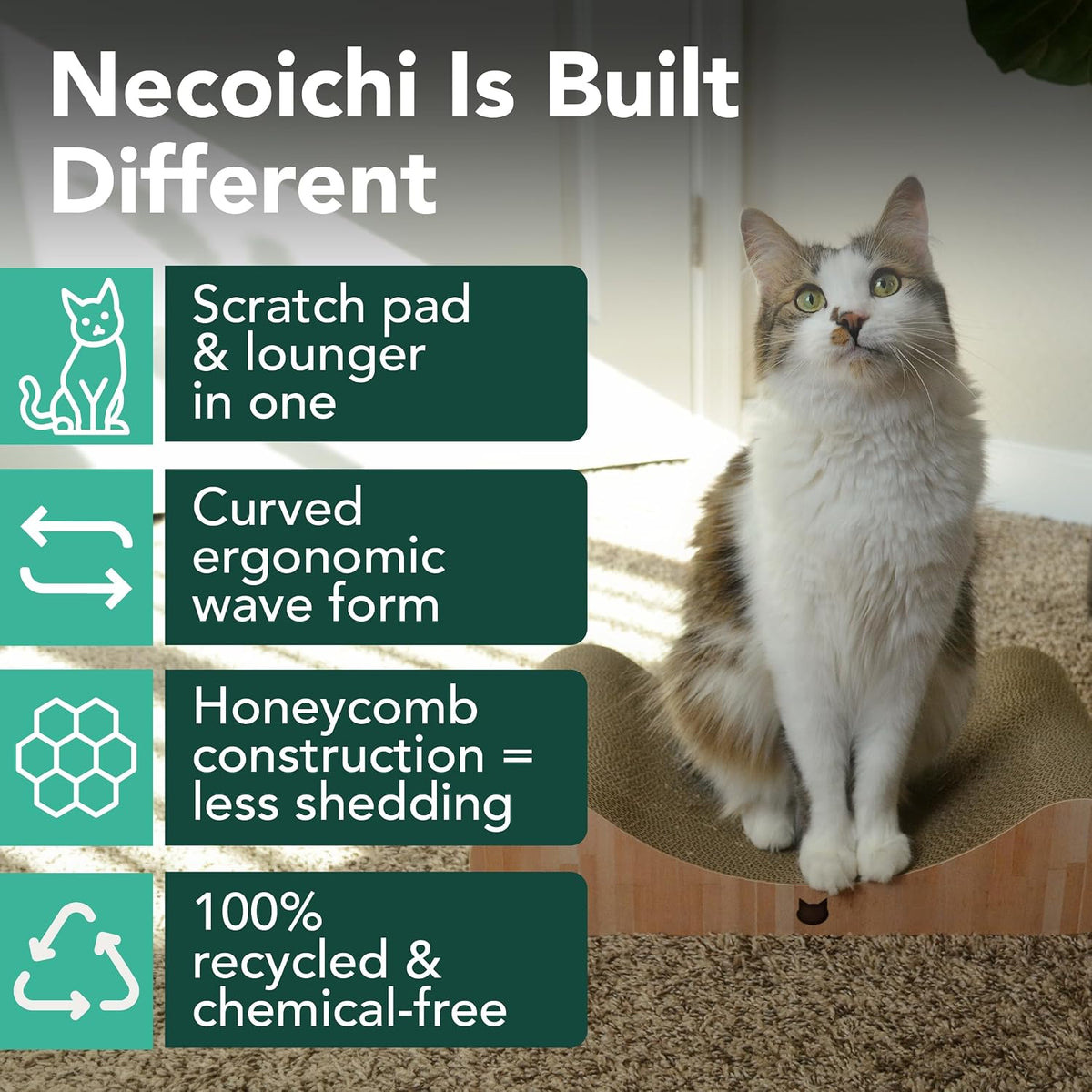 Necoichi Cardboard Cat Scratcher Bed for Indoor Cats - Regular / Oak - image 2