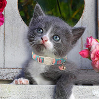 ARING PET 2 Pack Cat Collar-Cute Cotton Cat Collar Breakaway - Valentine-Heart & Blue Heart - image 4