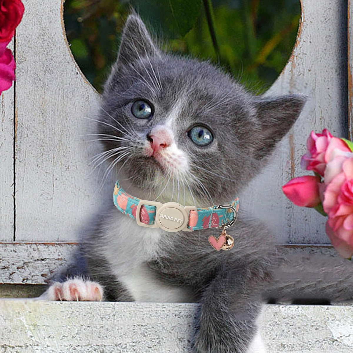 ARING PET 2 Pack Cat Collar-Cute Cotton Cat Collar Breakaway - Valentine-Heart & Blue Heart - image 4