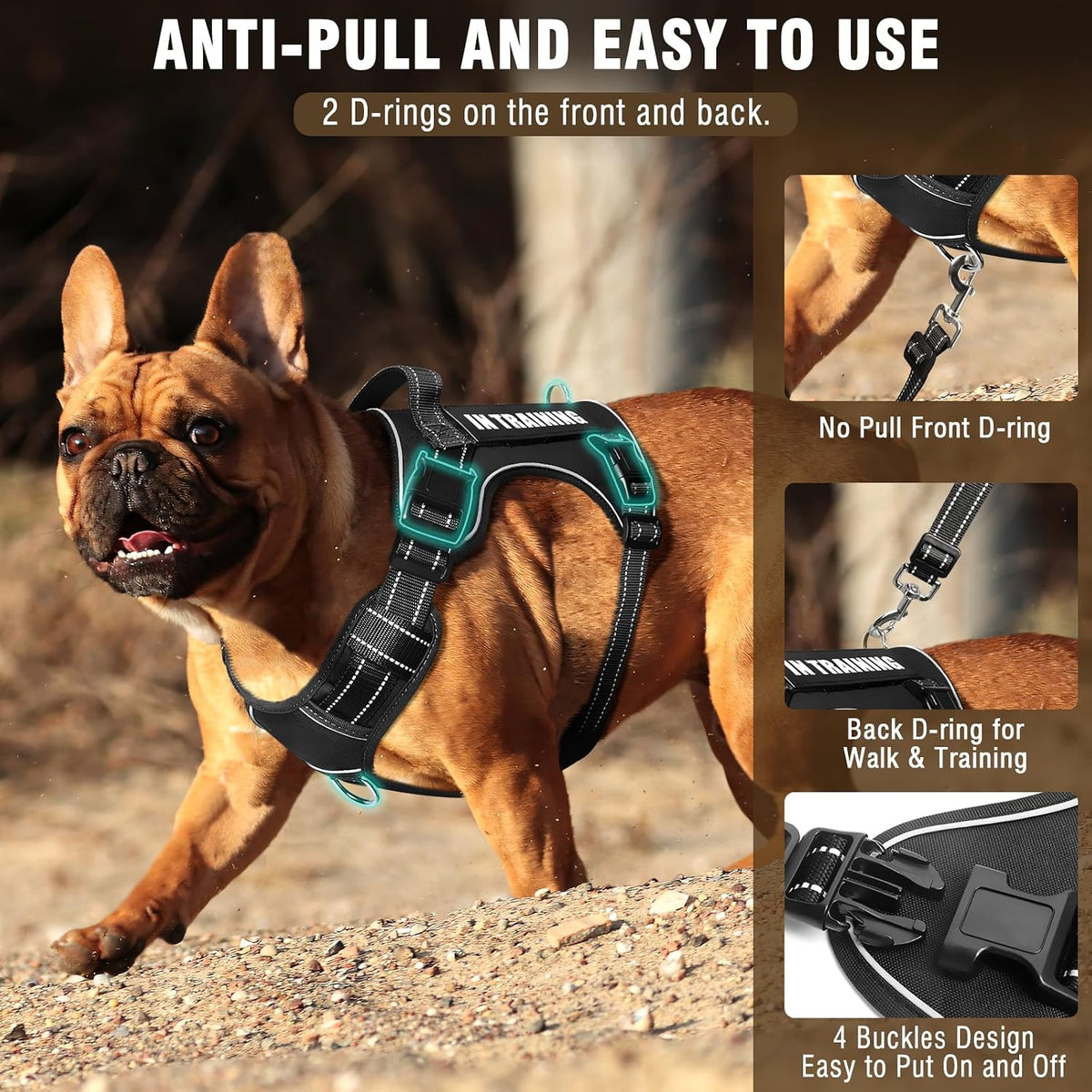 Tactical Dog Harness and Leash Set with 10 Patches for Large Dogs – Essentials for Dogs - Medium / Black - image 2