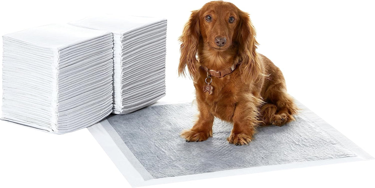Amazon Basics Carbon Odor Control Dog and Puppy Pee Pads - Regular (22"x22") / 80.0