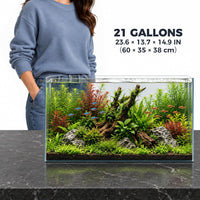 Low Iron Glass Ultra Clear Rimless Aquarium Tank - 21Gal 23.6"L×13.7"W×14.9"H - image 2