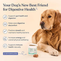 Pawfy Probiotics for Dogs | Supports Digestive Health, Diarrhea for Small and Large Dogs | Improves Gut Health | Anti Yeast Supplements | Promotes Skin Health and Seasonal Allergies Support - 30 Chews