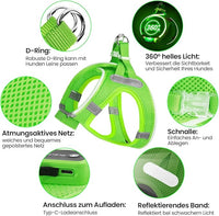 PCeoTllar Light Up Dog Harness - LED, No Pull Reflective, Flashing Night Walking (Green XS)