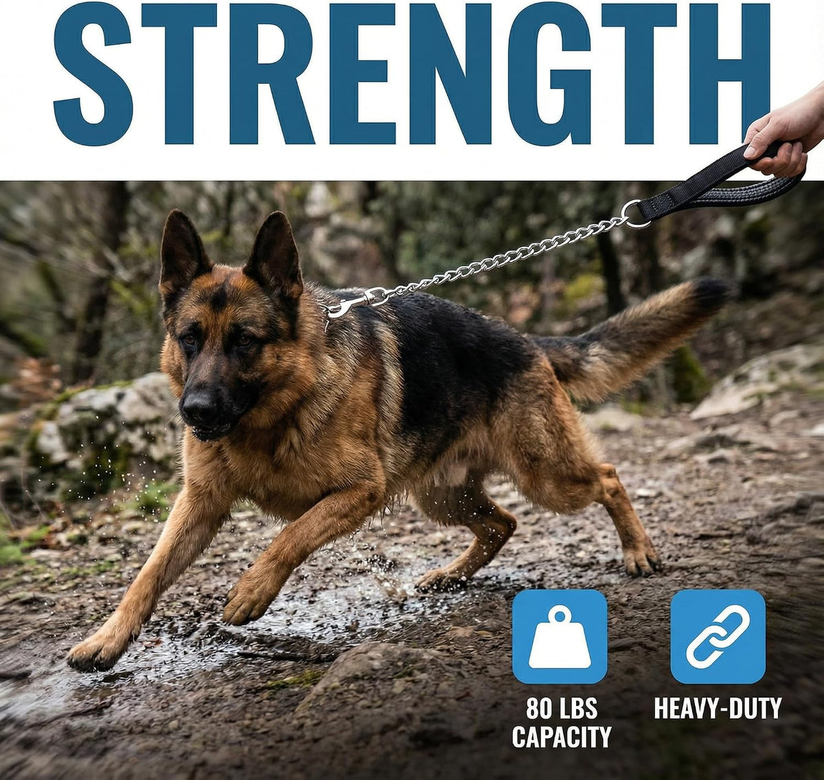 Heavy Duty Dog Chain Leash - 6 ft. x 3.0 mm (25-120 lbs.) - image 4