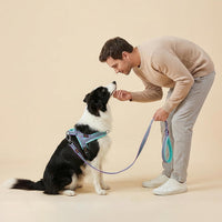 6FT Reflective Dog Leash for Small Medium Dogs, 5/8" Width - Mixed-Blue / 3/4''x 6 FT - image 2