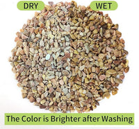 2 lb Natural Pea Gravel Small Pebbles - 3/8 Inch Pebbles for Indoor Plants, Succulents Rocks, Fish Tank Gravel, Terrarium Rocks and Patio Paver Decorative Stones