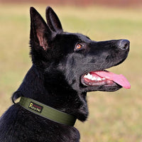 Plutus Pet Tactical Dog Collar, Reflective, Adjustable Heavy Duty Dog Collar, Soft Padded and Comfortable, for Small Medium and Large Dogs (Ranger Green, S)
