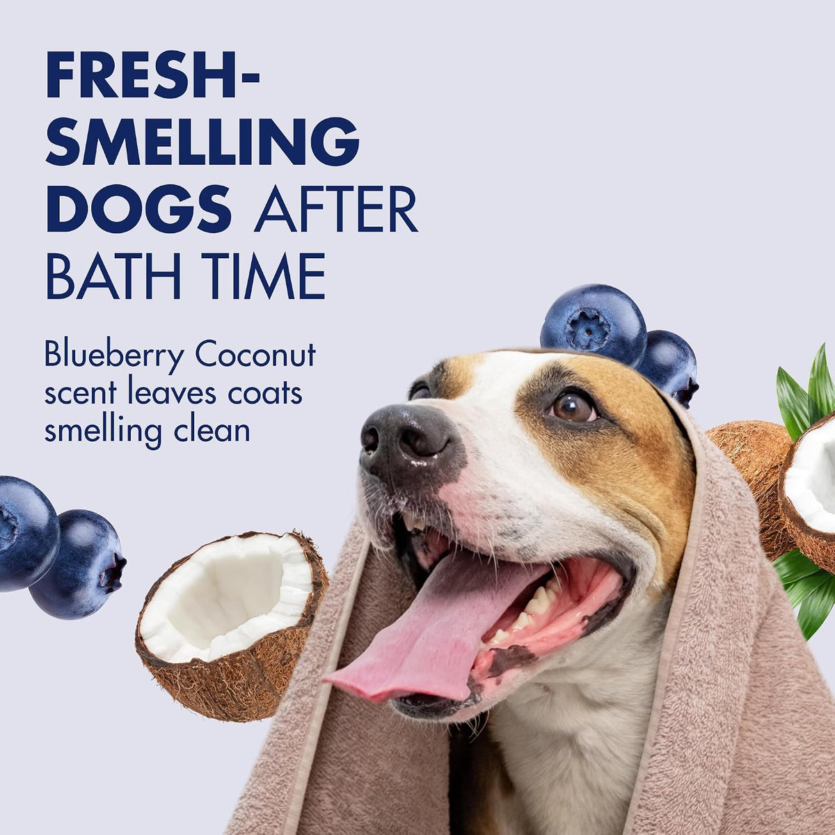 Arm & Hammer Deodorizing Dog Shampoo - Blueberry Coconut / 20 Fl Oz (Pack of 1) - image 3