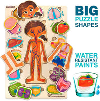 Human Body Model for Kids - Natural Multicolor - image 3