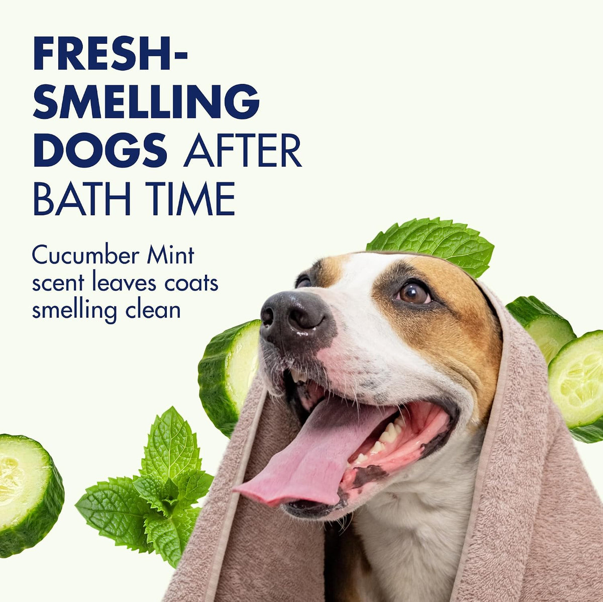 Arm & Hammer 2-in-1 Dog Shampoo and Conditioner - Cucumber Mint / 20 Fl Oz (Pack of 6) - image 3