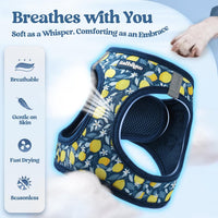 rabbitgoo Dog Harness Small Sized and Leash Set - Navy Lemon / Xs (chest: 13.3 - 15.5") - image 4