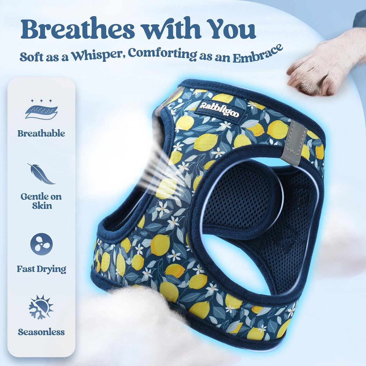 rabbitgoo Dog Harness Small Sized and Leash Set - Navy Lemon / Xs (chest: 13.3 - 15.5") - image 4