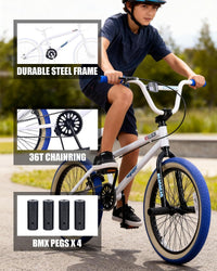 vollsch RUCKUS 20 inch kids freestyle BMX bike with pegs - view 15