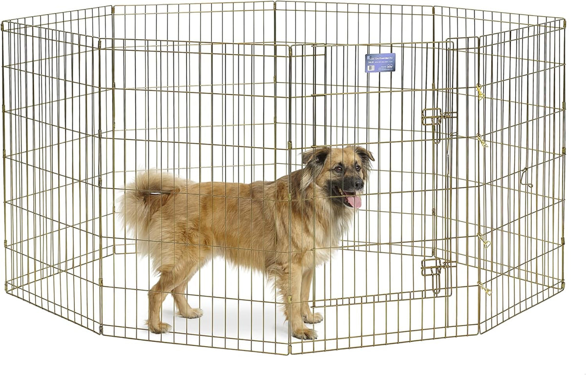 MidWest 30-Inch Exercise Pen, Single Door, 16 Sq Ft Play Area – Essentials for Dogs - Gold Zinc w/ Door / 36" H