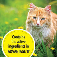 TevraPet Actispot II Flea Treatment for Small and Medium Cats 5-9 lbs | 6 Doses | Powerful Prevention and Control, Clear