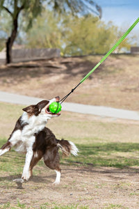 Jolly Pets Tree Tugger Interactive Bungee Dog Toy, Green – Essentials for Dogs - One Size / Dog - image 2