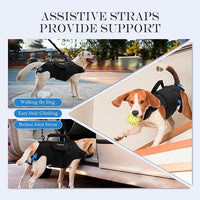 Dog Lift Harness, Full Body Support with Adjustable Control Handle for Medium Senior Dogs, Post-Surgery Recovery & Joint Problems (Oxford Cloth, M)