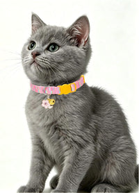 SOLMOONY Cute Cat Collar for Girl Boy - Purple Pink - image 3