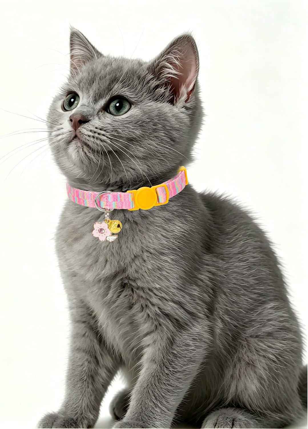 SOLMOONY Cute Cat Collar for Girl Boy - Purple Pink - image 3