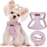 Puppytie Small Dog Harness and Leash Set, Pink, S – Essentials for Dogs - Purple / XS(4.5-11lb）
