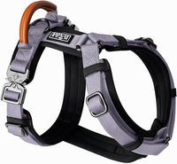 MADE TO ROAM Premium Explorer Harness - Y-Shaped Dog Harness with Adjustable Durable Nylon, Soft Padding, Metal Buckles and Leather Handle for Small, Medium, Large Dogs (Montana Moonrise, Size 5)