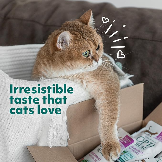 Optimeal Weight Control Dry Cat Food Recipe with Metabolism Support for Healthy Digestion, Premium Nutrition Made with Natural Ingredients for Adult Cats Maintenance (8.8 lbs, Turkey & Oatmeal)