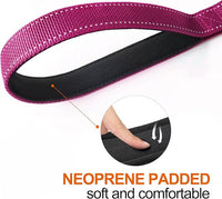 TwoEar 4FT 1IN Strong Rose Dog Leash with 2 Padded Handles, Traffic Handle Extra Control, Comfortable Soft Dual Handle, Auto Lock Hook, Reflective Walking Lead for Small Medium and Large Dogs