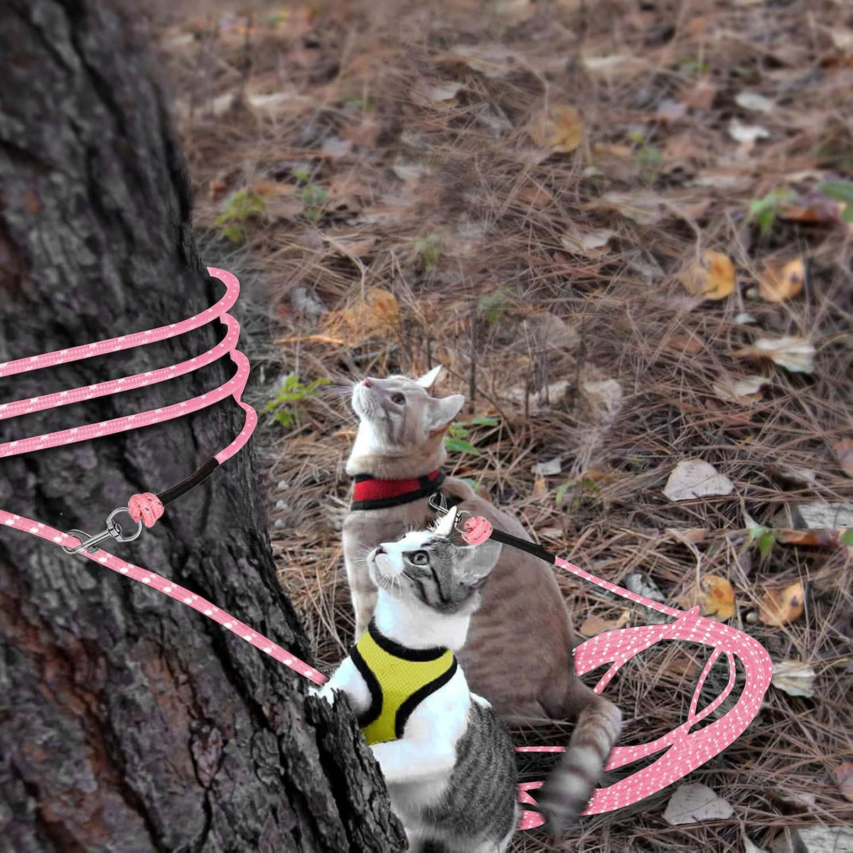 Reflective Cat Long Leash 15 FT - 30 FT / Pink - image 3