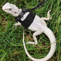 3PCS Bearded Dragon Harness and Leash Set - Black - image 4
