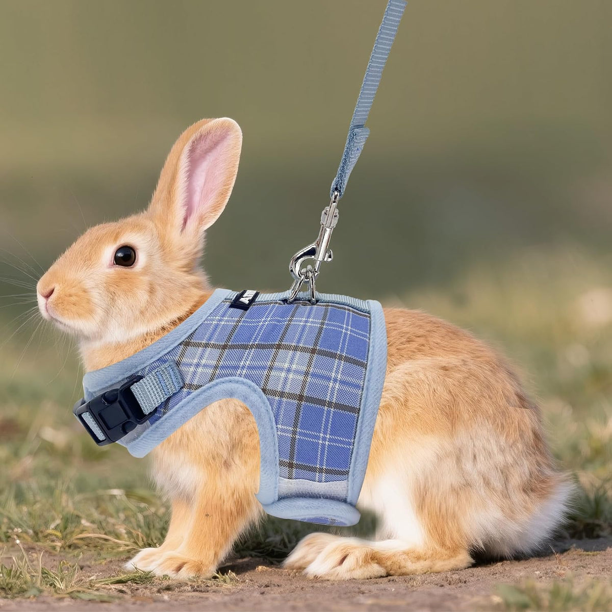 Plaid Breathable Rabbit Harness and Leash Set Escape Proof - Blue / M - image 2