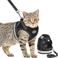 Cat Harness and Leash Set - Black / XS (Chest: 6" - 8")